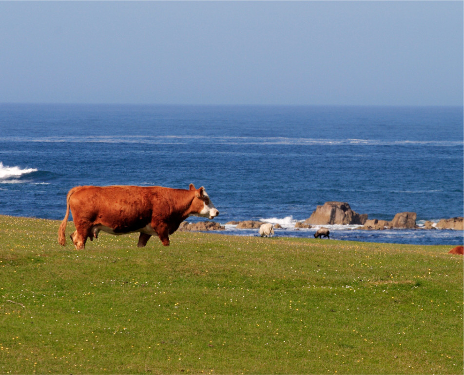 Beurre Bretagne